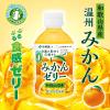 「伊藤園 みかんゼリー 和歌山県産 280g ニッポンエール 1セット（6本）」の商品サムネイル画像4枚目
