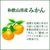「伊藤園 みかんゼリー 和歌山県産 280g ニッポンエール 1セット（6本）」の商品サムネイル画像5枚目