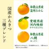 「伊藤園 国産 かんきつ三種ブレンド 400g ニッポンエール 1セット（6本）」の商品サムネイル画像5枚目