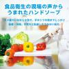 「ハンドラボ 薬用 泡ハンドソープ ピュアアクアの香り 詰め替え 500ml 1セット（4個） サラヤ 【泡タイプ】」の商品サムネイル画像5枚目