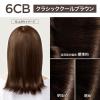 「ロレアル パリ オレオリュクス 6CB クラシッククールブラウン 2個 ヘアカラー」の商品サムネイル画像2枚目