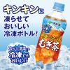 「伊藤園 冷凍ボトル 健康ミネラルむぎ茶 485ml 1セット（6本）」の商品サムネイル画像4枚目