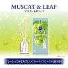 「サワデー香るスティック 玄関・ 部屋用 マスカット＆リーフ 詰め替え 70ml 芳香剤 小林製薬」の商品サムネイル画像3枚目