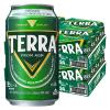 「ビール 輸入ビール 韓国ビール TERRA（テラ） 350ml 2箱 （48本）」の商品サムネイル画像2枚目