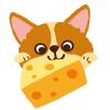 「グルテンフリークッキー 犬用 チーズ味 国産 40g 3袋 スマック おやつ」の商品サムネイル画像7枚目