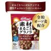 「素材まるごとグラノラ ヘーゼルナッツチョコレート 1袋 日本ケロッグ グラノーラ シリアル」の商品サムネイル画像2枚目