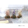 「【アウトレット】【数量限定・母の日ギフト】 ドライフラワー コルクボトル 直径7.5cm×高さ12cm ホワイト 1個 アプラス」の商品サムネイル画像2枚目