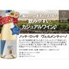 「【在庫処分】イタリア　ノッテ・ロッサ ヴェルメンティーノ  白ワイン　辛口　750ml 1本　日本酒類販売」の商品サムネイル画像2枚目