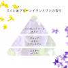 「ボタニカル by ミューズ 泡ハンドソープ スミレ＆グリーンイランイラン メガサイズ詰替 700ml 1個  泡タイプ 薬用石鹸」の商品サムネイル画像7枚目