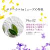 「ボタニカル by ミューズ 泡ハンドソープ スミレ＆グリーンイランイラン メガサイズ詰替 700ml 1セット（2個）泡タイプ」の商品サムネイル画像5枚目