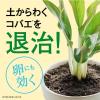 「BotaNice ボタナイス 植物の虫・病気対策 コバエ駆除 殺虫剤 500ml 1個 アース製薬」の商品サムネイル画像4枚目