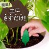 「BotaNice ボタナイス 土からわいたコバエ退治 粘着剤タイプ 1パック（12個入） アース製薬」の商品サムネイル画像3枚目