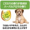 「ボタニカルトリートメント 愛犬用 ハーバルアロマの香り 本体 301.5mL 1個 アース・ペット」の商品サムネイル画像2枚目