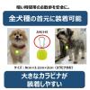 「犬用 お散歩用ライト ハンドラー ゴーゴーナイト ライト 1個 アース・ペット 夜の散歩 光る」の商品サムネイル画像4枚目