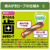 「エブリデント 歯みがきロープ 愛犬用 やわらか SSサイズ 国産 45g（約20本）3袋 犬 おやつ 歯磨き アース・ペット」の商品サムネイル画像4枚目
