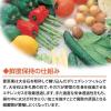 「鮮度保持袋 野菜・果物専用 愛菜果 ロング 1セット（ 6枚入×3パック） 関西紙工」の商品サムネイル画像3枚目