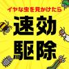 「カメムシ駆除 害虫 駆除剤 虫コロリアース 粉剤 1kg 2個 殺虫剤 害虫駆除剤 対策 寄せ付けない 退治 屋外 大容量 カメムシよけ アース製薬」の商品サムネイル画像2枚目