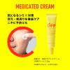 「柑橘王子 薬用 メラノサーチクリーム 25g メンズ」の商品サムネイル画像6枚目