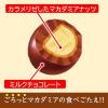 「チョコレート菓子 マカダミアチョコレート　ポップジョイ　カラメリゼ　　34g 1個」の商品サムネイル画像2枚目