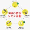「【ワゴンセール】【ワゴンセール】チューハイ 酎ハイ サワー アサヒ ザ・レモンクラフト 王道レモン 400ml×6本（わけあり品）」の商品サムネイル画像4枚目