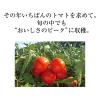 「【アウトレット】カゴメ 夏しぼり 190g 1箱（30本入）　野菜ジュース　トマトジュース　国産トマト100%」の商品サムネイル画像2枚目