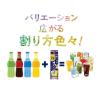 「酎ハイ専科 サワーの素 1.8L 1本　合同酒精 リキュール」の商品サムネイル画像3枚目