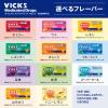 「ヴイックス メディケイテッドドロップ シュガーレスアセロラ 25個入 大正製薬 のど飴 のどの痛み 炎症 殺菌 消毒」の商品サムネイル画像5枚目