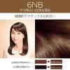 「【アウトレット】【EC限定】ロレアル パリ エクセランス R 液状タイプ 6NB やや明るい自然な栗色+スムースオイル 日本ロレアル」の商品サムネイル画像2枚目