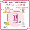 「ビオフェルミンぽっこり整腸チュアブル 60錠 2箱セット 大正製薬　整腸剤 ガスによるお腹のはり 軟便 便秘【第3類医薬品】」の商品サムネイル画像5枚目