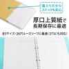 「日本ノート 帳簿リーフ B5 金銭出納帳 リフ306 1セット（300枚：100枚入×3冊）」の商品サムネイル画像5枚目