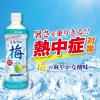 「【ワゴンセール】伊藤園 ミネラル梅 500g 1セット（6本）（わけあり品）」の商品サムネイル画像3枚目