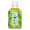 「【ワゴンセール】コカ・コーラ　綾鷹　280ml　1セット（6本）（わけあり品）」の商品サムネイル画像2枚目
