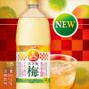 「【ワゴンセール】アサヒ飲料 三ツ矢梅 1.5L 1セット（2本）（わけあり品）」の商品サムネイル画像3枚目