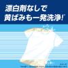 「アリエール 洗濯洗剤 液体 漂白剤レベル洗浄 エリそで＆くすみ 清潔でさわやかな香り 詰め替え 超ジャンボ 1000g 1個 P＆G」の商品サムネイル画像8枚目