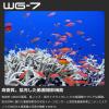 「RICOH（リコー） デジカメ カメラ コンパクトデジタルカメラ レッド 防水20m　防塵IP6X　耐衝撃2.1m　耐低温-10℃」の商品サムネイル画像6枚目