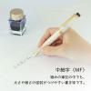 「セーラー万年筆 四季織 雪月空葉 名月 万年筆 MF(中細字) 101624303 1本」の商品サムネイル画像5枚目