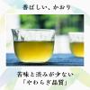 「伊藤園 茶の間 500ml 1セット（6本） お茶 緑茶 ペットボトル 【接客】【来客】」の商品サムネイル画像4枚目
