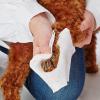 「ペティオ 犬猫用 手足用 シートでふきとる シャンプーティッシュ（30枚入×2個）お得パック 1個 犬 猫」の商品サムネイル画像3枚目