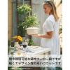 「【アウトレット】(セール)バッラリーニ ベラモンテ ラウンド 鋳物ホーロー鍋 ポモドーロレッド 24cm IH・ガス兼用 1個 ヘンケルスジャパン」の商品サムネイル画像5枚目