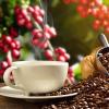 「【ドリップコーヒー】三本珈琲 オーガニックドリップコーヒー 1個（8杯分）」の商品サムネイル画像6枚目
