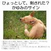 「虫よけわんにゃんクリップミニ 犬猫用 140日用 3個 アース・ペット（イチオシ）」の商品サムネイル画像5枚目