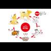 「ノミマダニとり＆蚊よけ首輪 小型犬用 3個 アース・ペット」の商品サムネイル画像4枚目