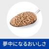 「プリスクリプションダイエット i/d 猫用 療法食 消化ケア チキン 156g 1缶 ヒルズ 缶詰」の商品サムネイル画像6枚目