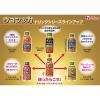 「ウコンの力 フルーツ風味 1セット1本（100ml）×12） ウコンドリンク ハウスウェルネスフーズ」の商品サムネイル画像7枚目
