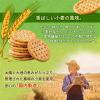 「小麦胚芽のクラッカー 2箱　森永製菓　食物繊維　鉄分　ビタミンE」の商品サムネイル画像4枚目