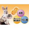 「ミニアニマン 小動物用 快適 トイレとケージのクリーナー 380ml 1個」の商品サムネイル画像2枚目