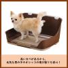 「しつけるウォールトレー S ブラウン 1個 ボンビアルコン 犬用 新入荷」の商品サムネイル画像2枚目