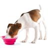 「犬用 水飲み ぺたんこボウル S ブルー」の商品サムネイル画像5枚目