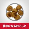 「ドッグフード サイエンスダイエット 犬 1歳〜6歳 肥満傾向の成犬用 ライト 小粒 チキン 6.5kg ヒルズ ドライ」の商品サムネイル画像4枚目