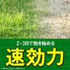 「除草剤 液体 雑草対策 草取り 農薬 園芸用品 アースガーデン アース カマイラズ 草消滅 ジョウロヘッド 2L 1個 アース製薬」の商品サムネイル画像3枚目